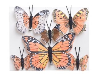 CANEA Motyl na klipie mix wzorów 12cm x 1cm x 8,5cm 8cm x 1cm x 7cm 5cm x 1cm x 5cm 6szt. 173CAN22017