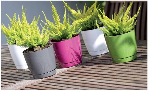 PROSPERPLAST - doniczki Doniczka okrągła biała 15,5cm z podstawką COUBI DOOP PROSPERPLAST - doniczki Doniczka okrągła biała 15,5cm z podstawką COUBI DOOP