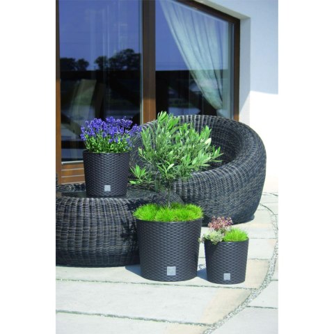 PROSPERPLAST - doniczki Donica w wkładem rattan RATO Round 20xh19 cm ANTRACYT