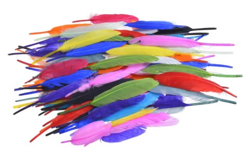 CANEA Kolorowe pióra 10-13cm ok. 72szt. 173CAN2A039
